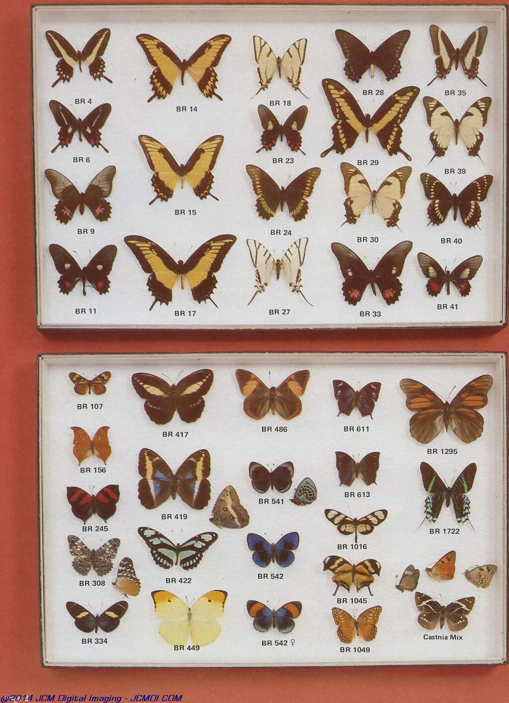 The Butterfly Company (NY) 20 page catalog 1978